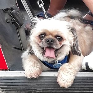 Meet your Posher, Vickie